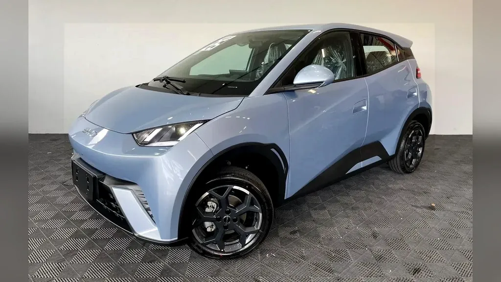 Foto de um byd dolphin mini