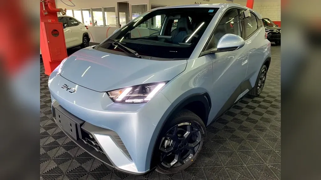 Foto de um byd dolphin mini