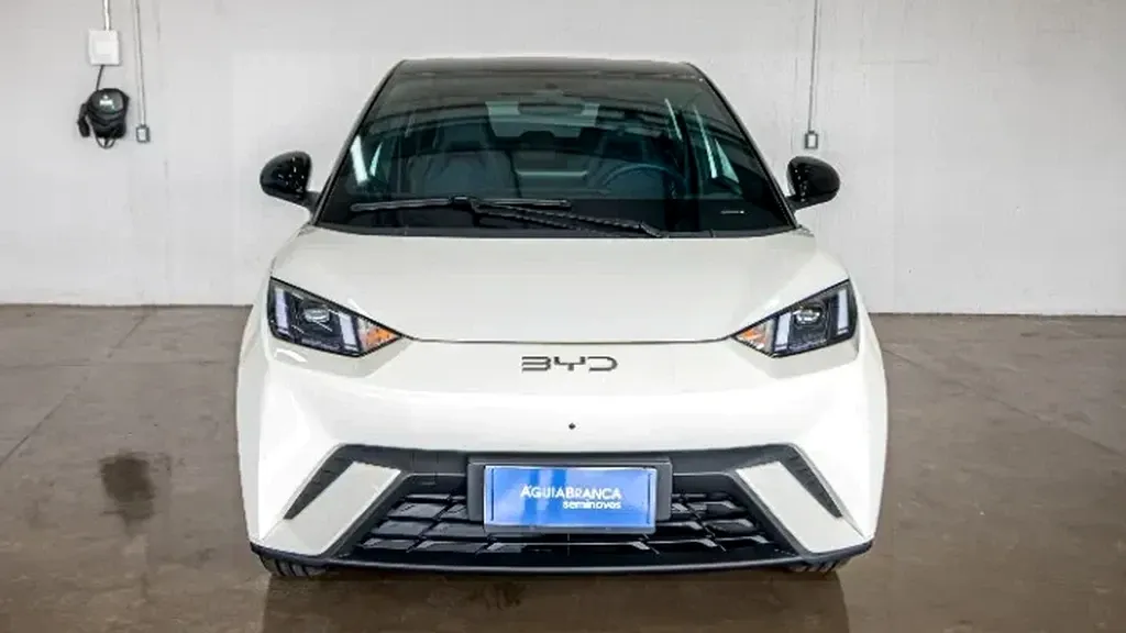 Foto de um byd dolphin mini