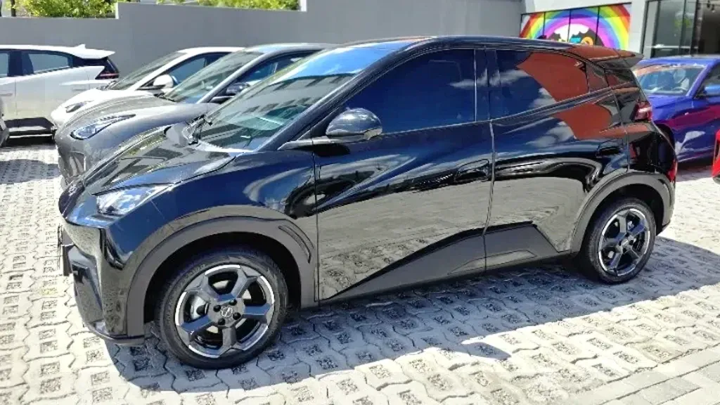 BYD Dolphin Mini - Imagem 15