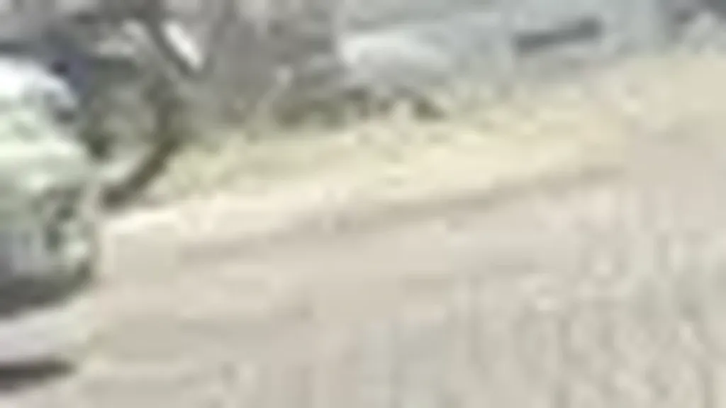 Renault Megane E-tech Electric - Imagem 11