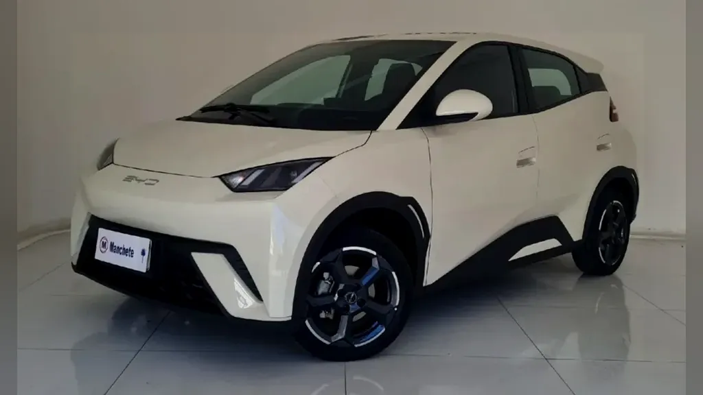 Foto de um byd dolphin