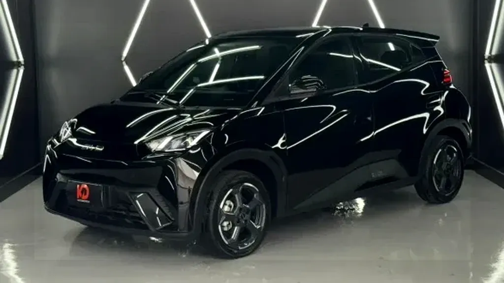 Foto de um byd dolphin mini