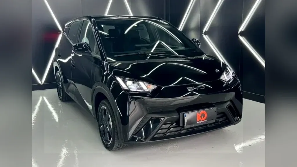 BYD Dolphin Mini - Imagem 2