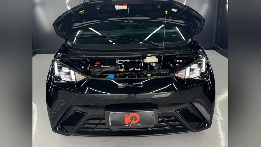 BYD Dolphin Mini - Imagem 17