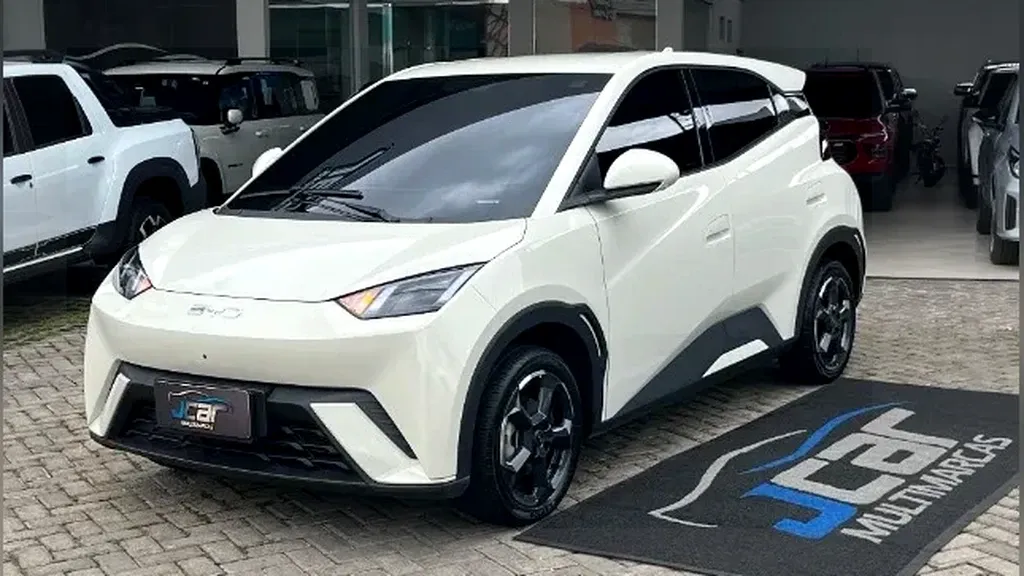 Foto de um byd dolphin mini