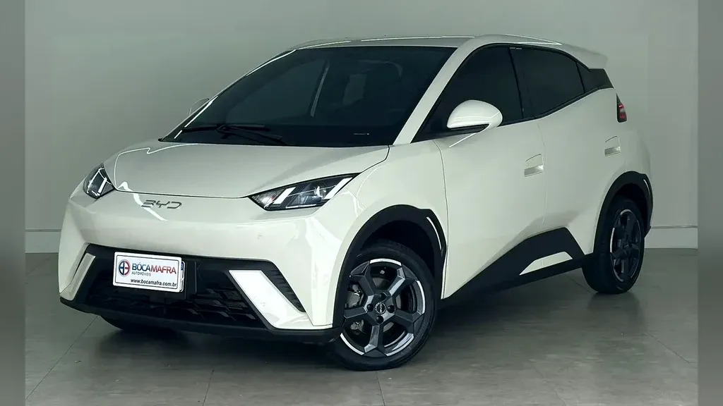 Foto de um byd dolphin mini