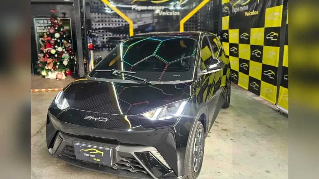 Foto de um byd dolphin mini