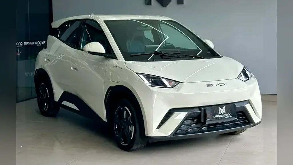 Foto de um byd dolphin mini