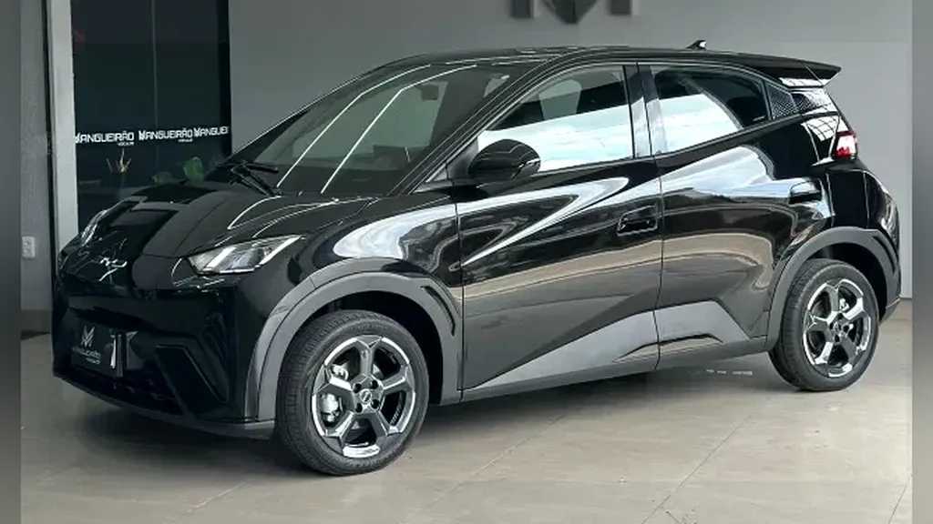 Foto de um byd dolphin mini