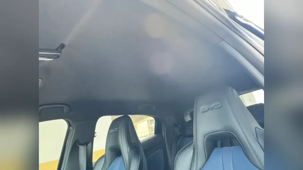 BYD Dolphin Mini - Imagem 11