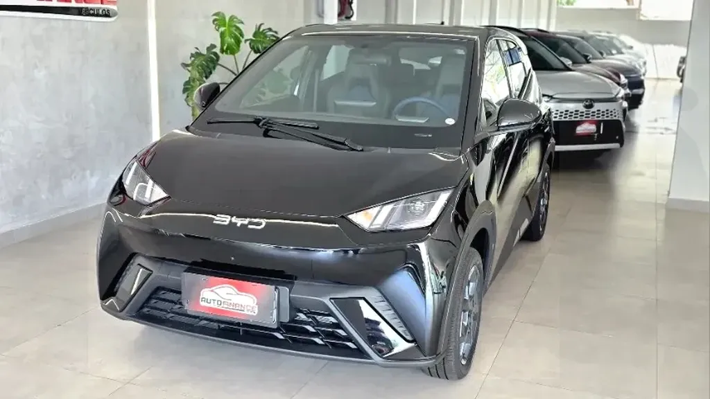 BYD Dolphin Mini - Imagem 8