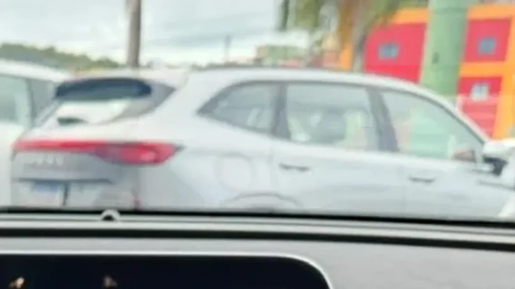 GWM Ora 03 - Imagem 2