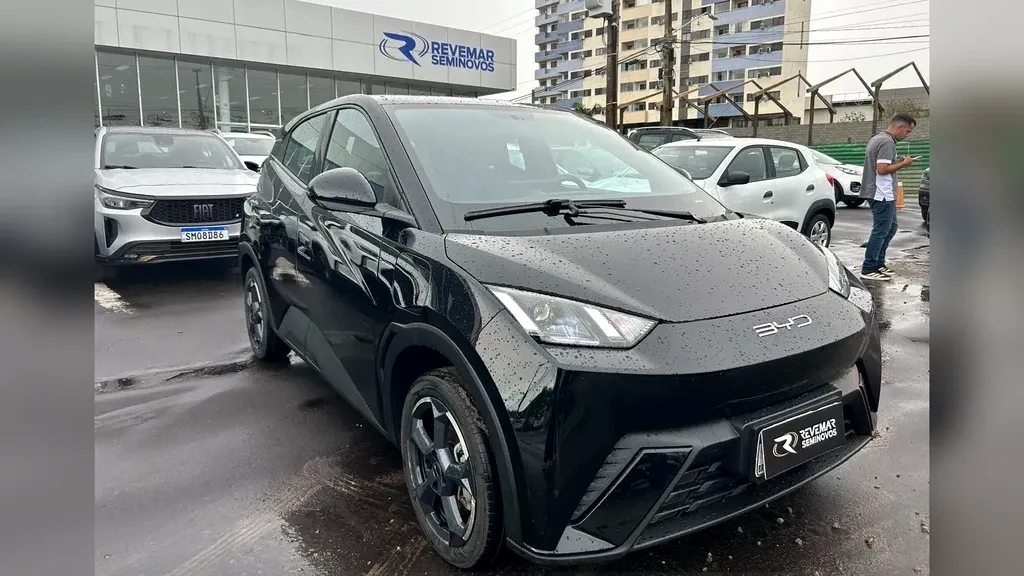 Foto de um byd dolphin mini