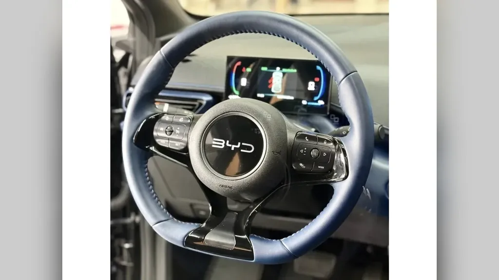 BYD Dolphin Mini - Imagem 13