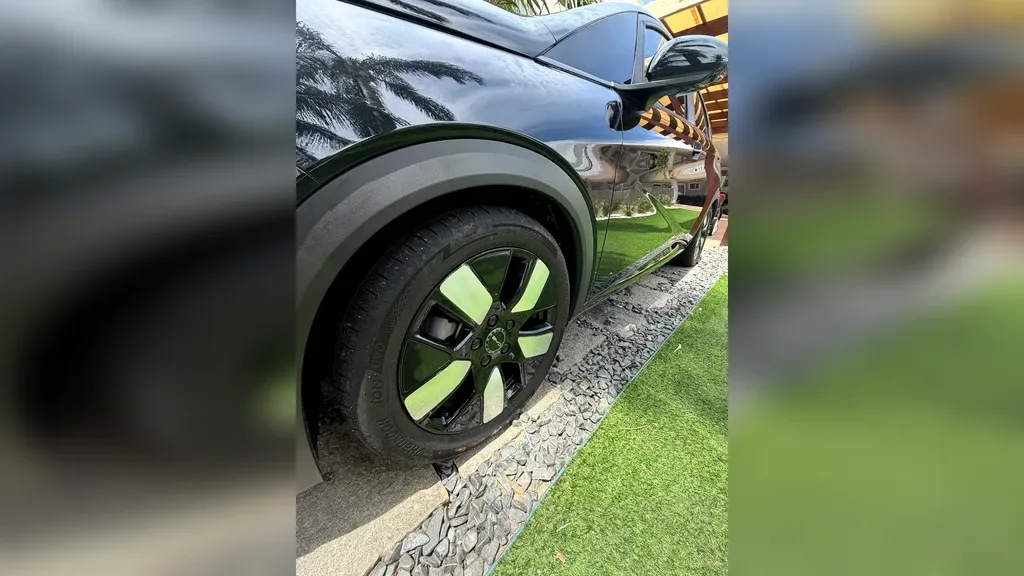 BYD Dolphin Plus - Imagem 15