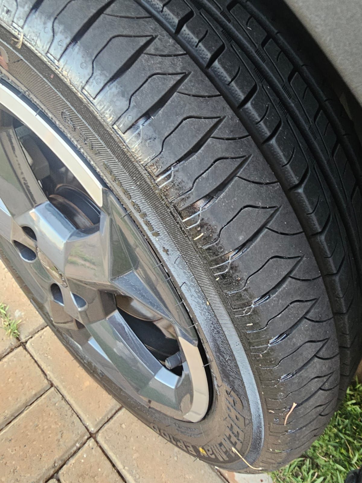 BYD Dolphin Mini - Imagem 10