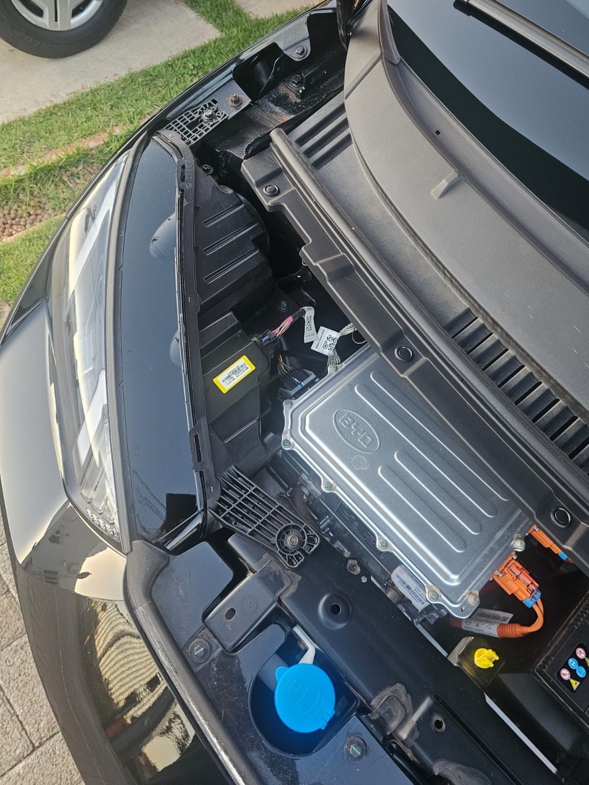 BYD Dolphin Mini - Imagem 11