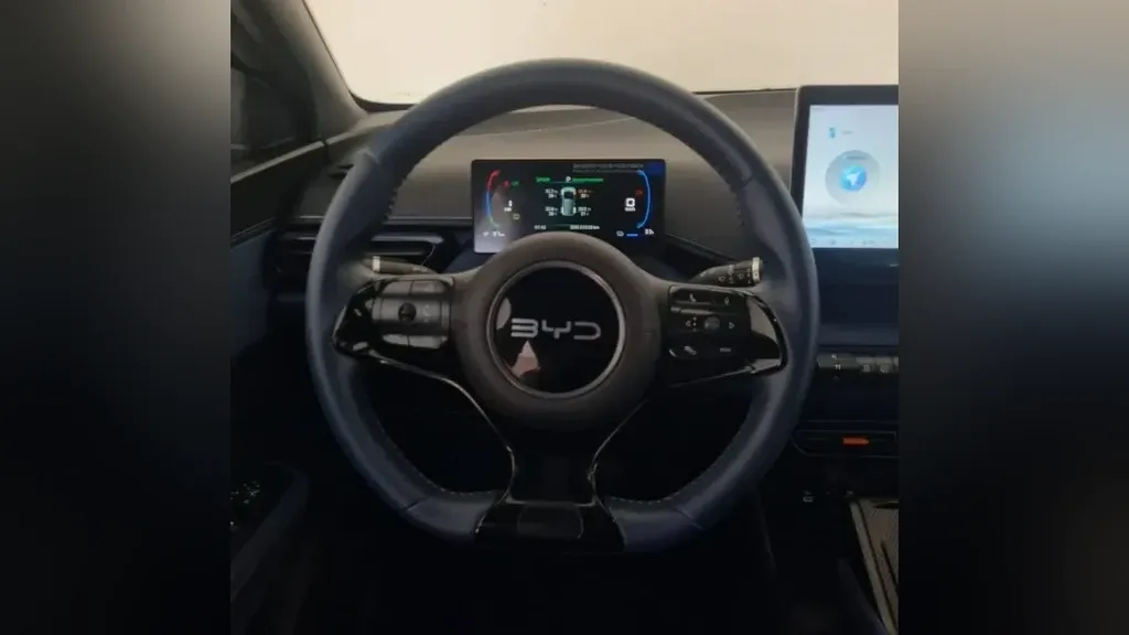 BYD Dolphin Mini - Imagem 15