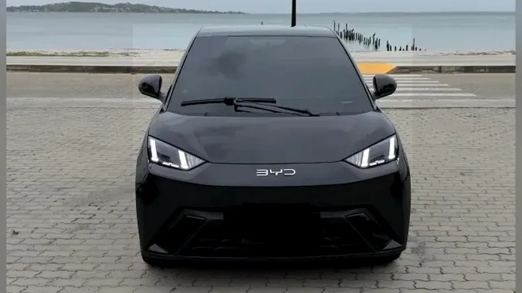 Foto de um byd dolphin mini