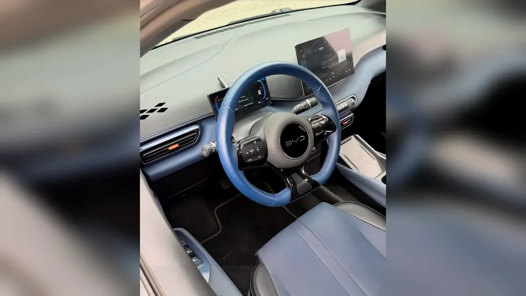 BYD Dolphin Mini - Imagem 7