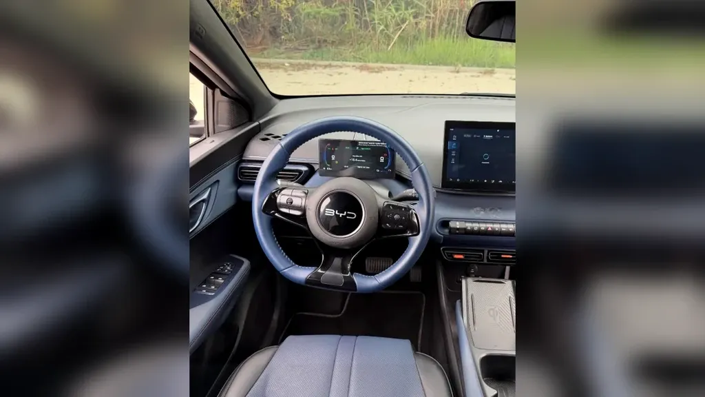 BYD Dolphin Mini - Imagem 8