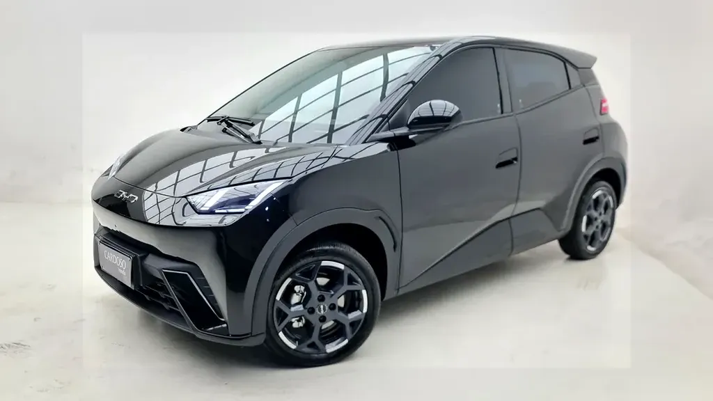 Foto de um byd dolphin mini