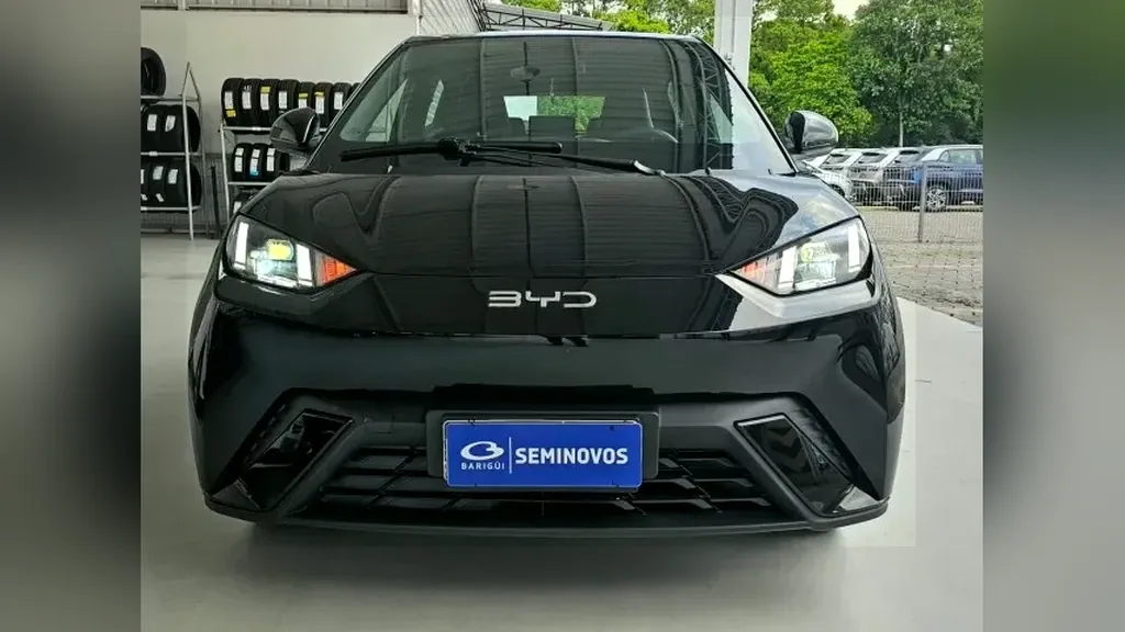 BYD Dolphin Mini - Imagem 13