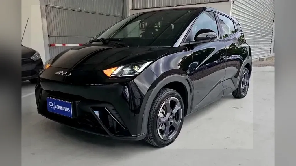 BYD Dolphin Mini - Imagem 16