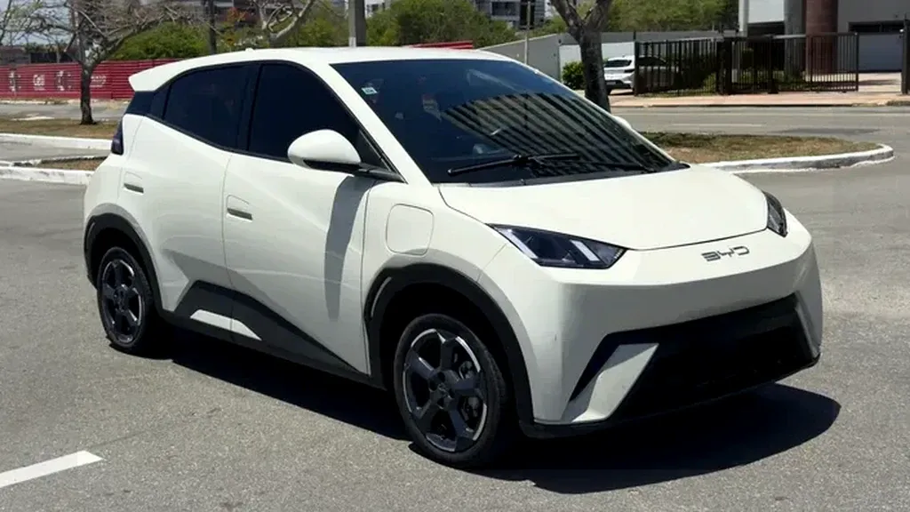 Foto de um byd dolphin mini