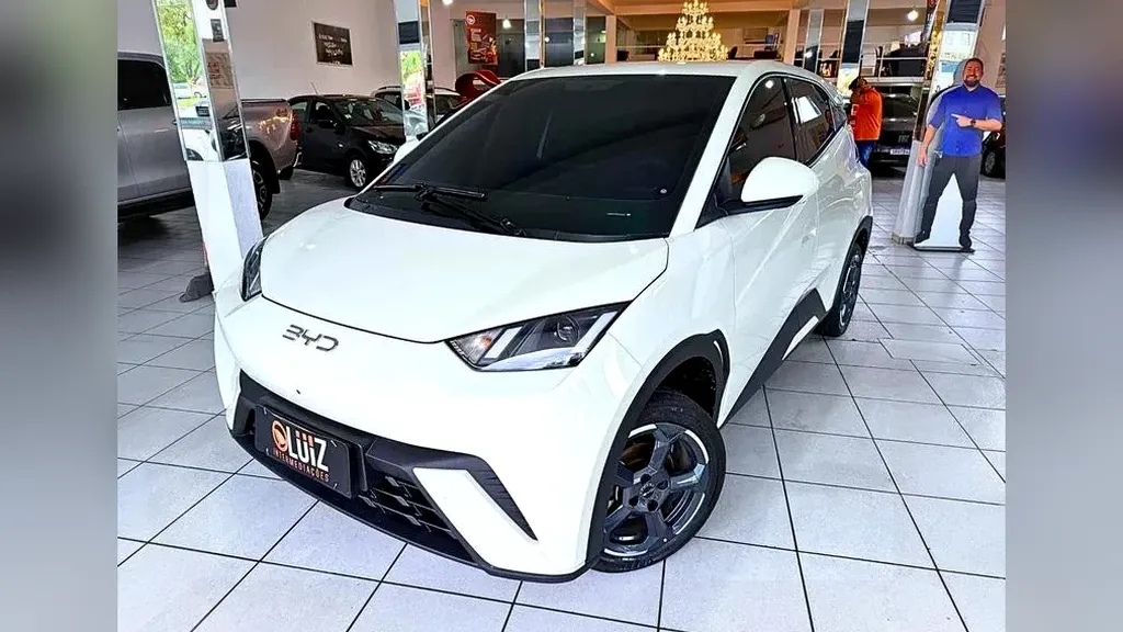 Foto de um byd dolphin mini