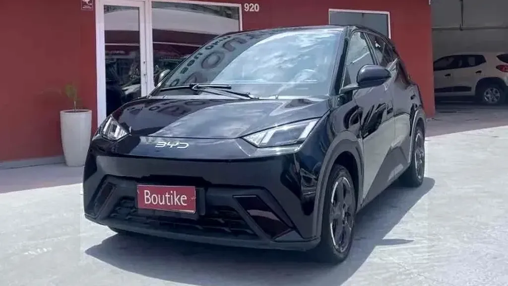 Foto de um byd dolphin