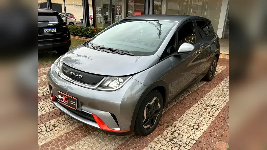 Foto de um byd dolphin