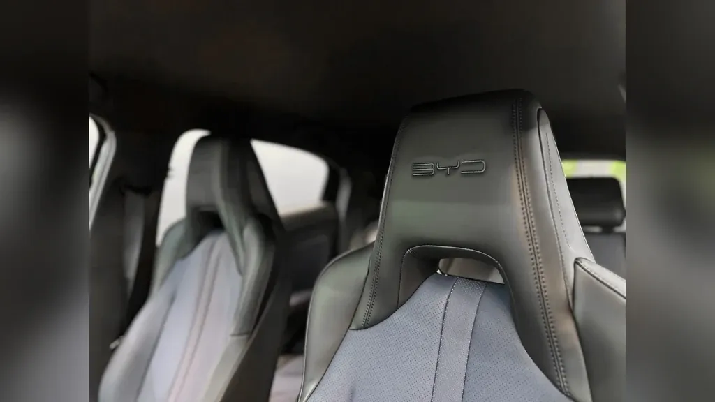 BYD Dolphin Mini - Imagem 11