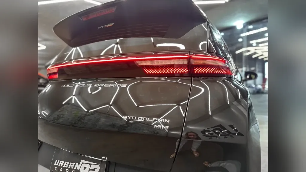 BYD Dolphin Mini - Imagem 18