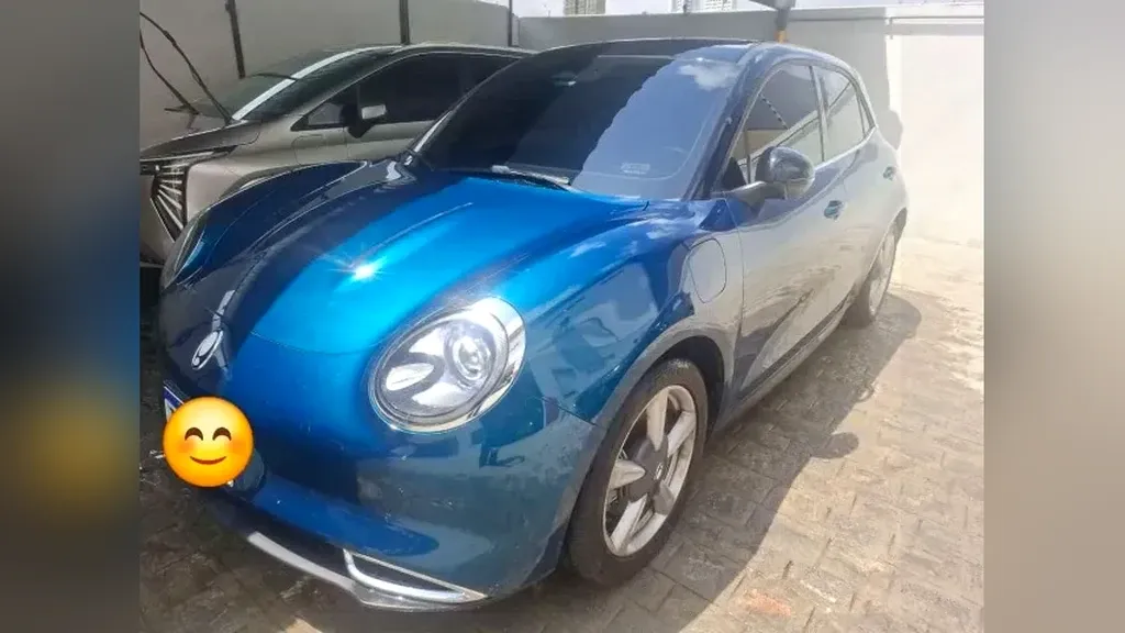 Foto de um gwm ora 03