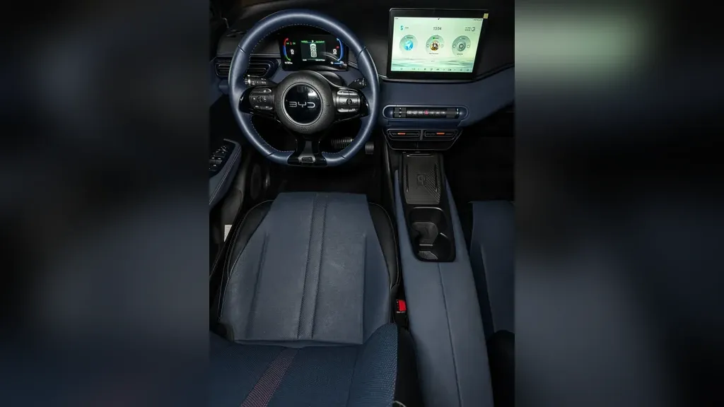 BYD Dolphin Mini - Imagem 16
