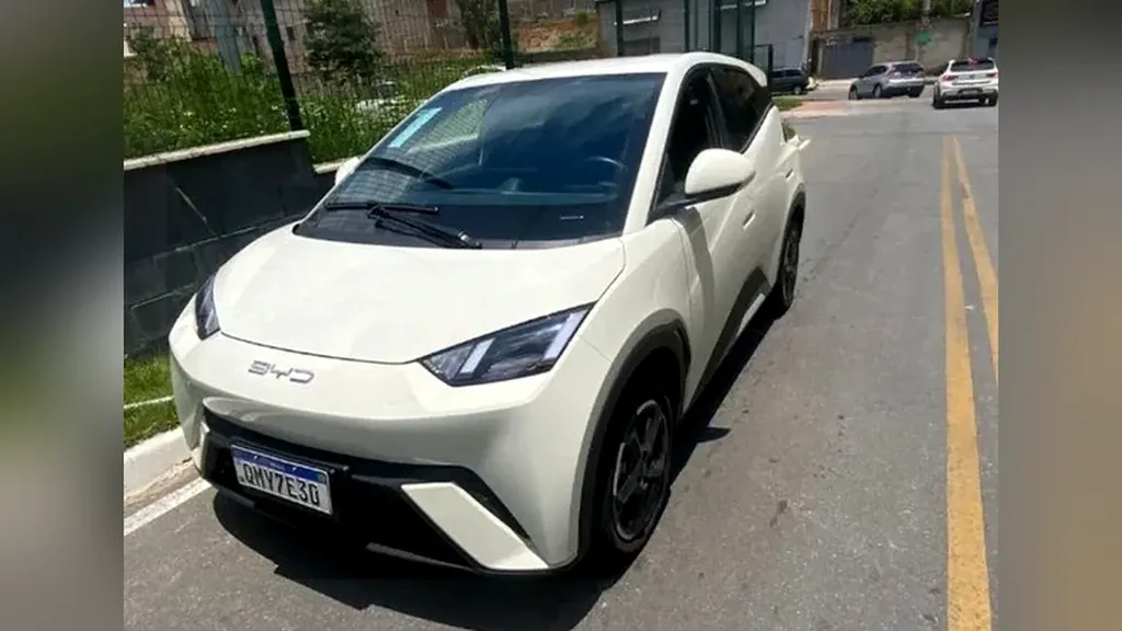 Foto de um byd dolphin mini