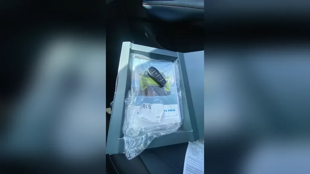 BYD Dolphin Mini - Imagem 7