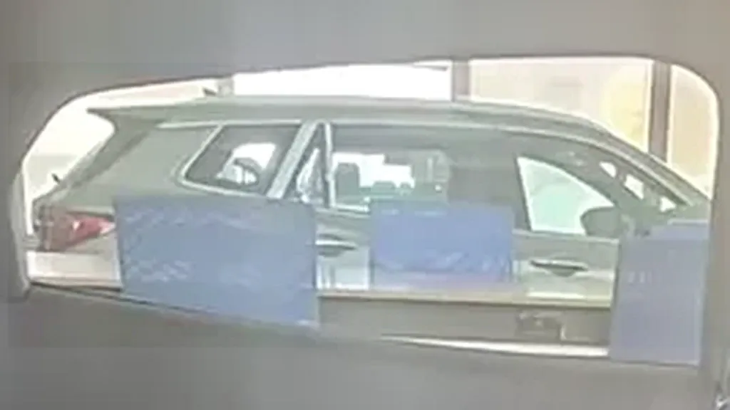 Ford Mustang Mach-e - Imagem 12