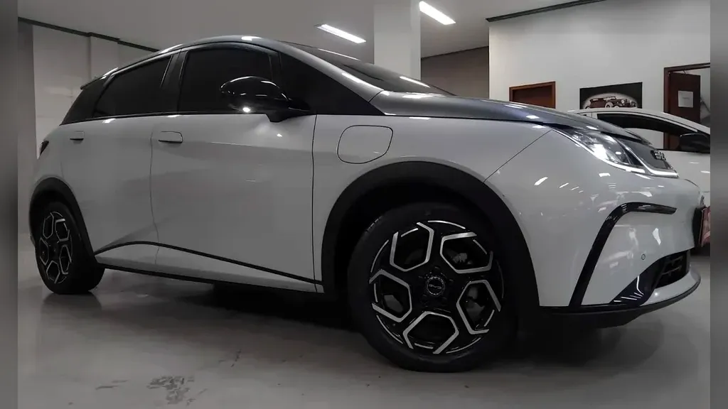 BYD Dolphin Plus - Imagem 12