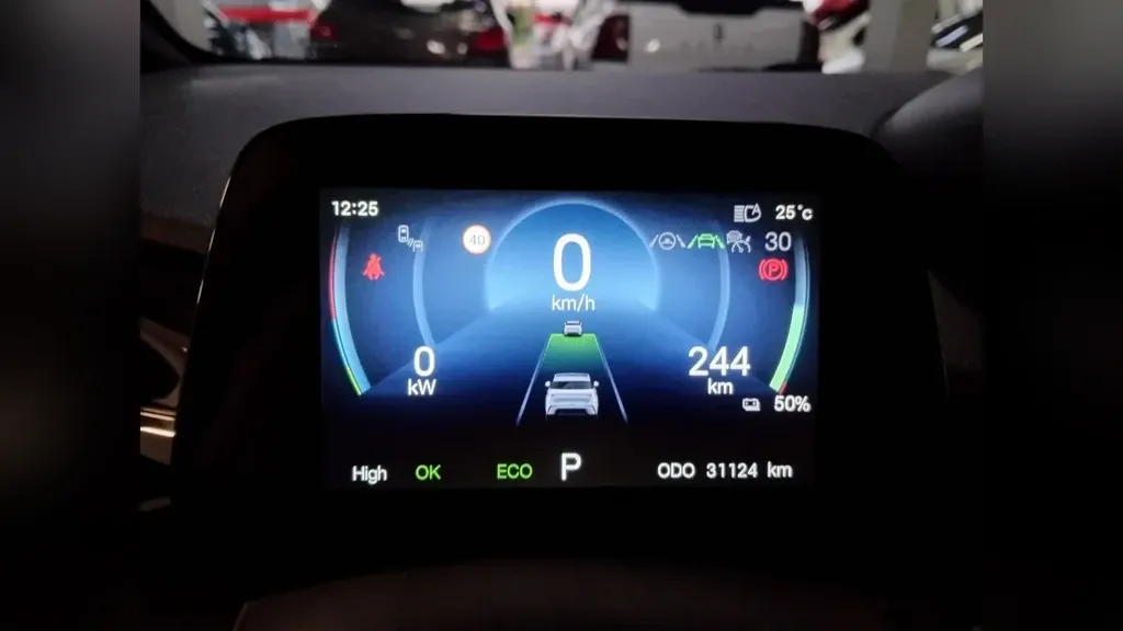 BYD Dolphin Plus - Imagem 14