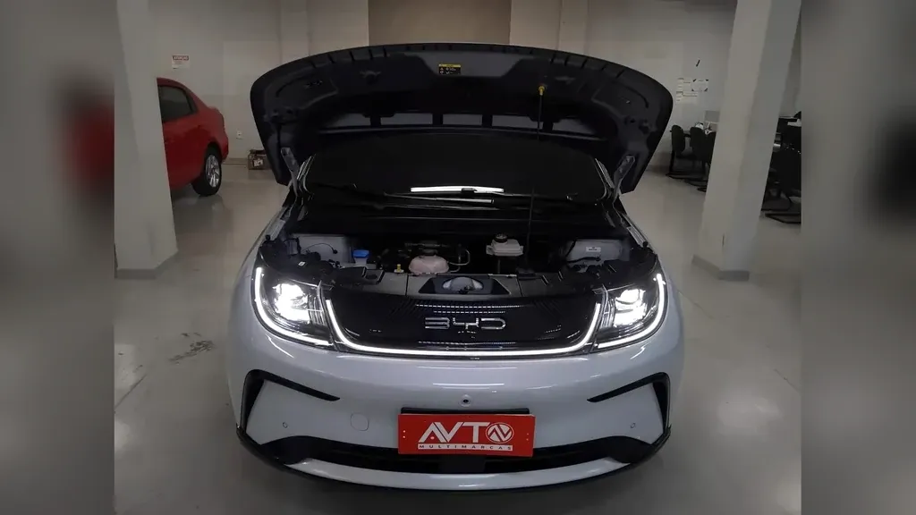 BYD Dolphin Plus - Imagem 20