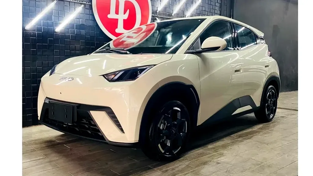 Foto de um byd dolphin mini