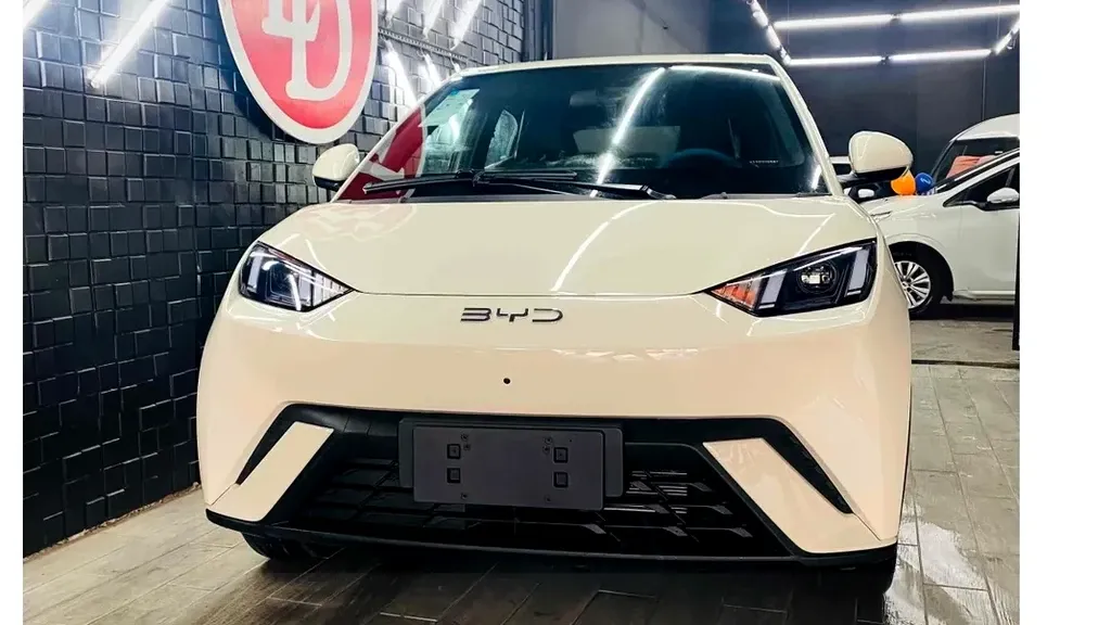 BYD Dolphin Mini - Imagem 2