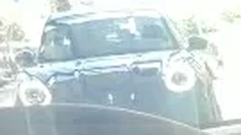 BYD Dolphin Mini - Imagem 6