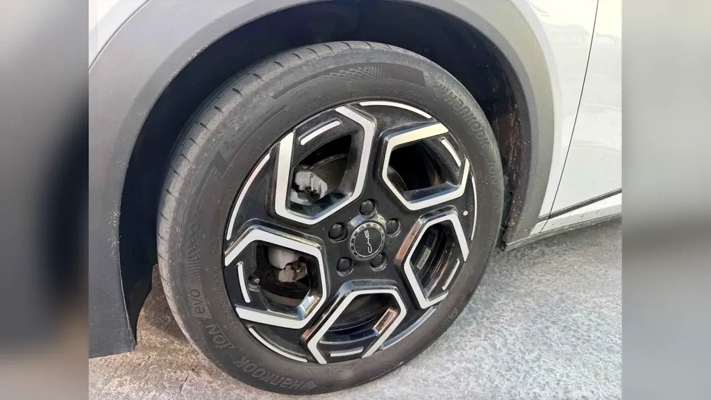 BYD Dolphin Plus - Imagem 2