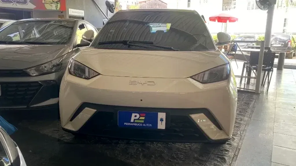 Foto de um byd dolphin mini