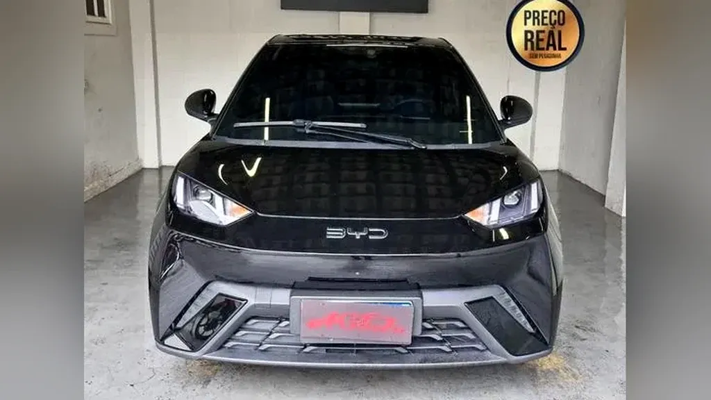 Foto de um byd dolphin mini