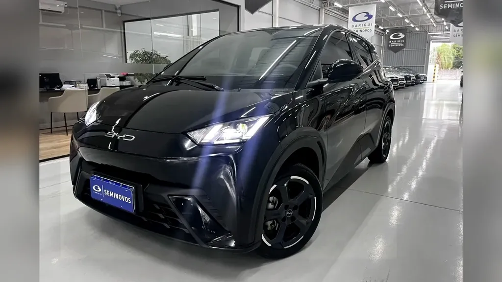 BYD Dolphin Mini - Imagem 10